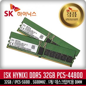 SK하이닉스 SK하이닉스 DDR5-5600 (32GB), 1개