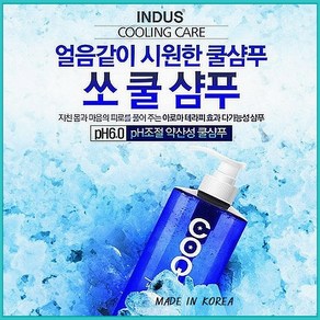 뷰티센터 인더스 쿨샴푸 두피 상쾌 시원한 천연한방제 약산성샴푸 대용량 1000mg, 1L, 2개