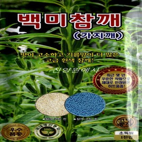진양원예사 코팅참깨 - 참깨씨앗 가지깨 소포장 1천립