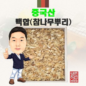 중국산 백합(참나무뿌리) 300g/100g (경북 영천) 수입산 수입, 100g