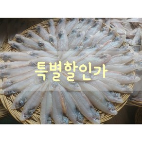 항만박대 새끼박대 꼬마박대 군산, 500g, 1개