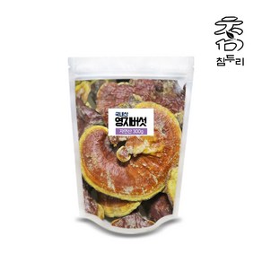 참두리 국산 자연산 영지버섯, 300g, 1개