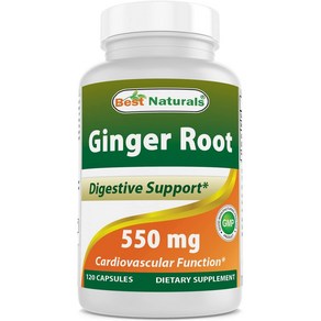 베스트네츄럴스 Ginge Root 생강추출물 550mg 120정, 1개