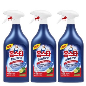 홈스타 뿌리는 곰팡이 싹 세정제, 3개, 900ml