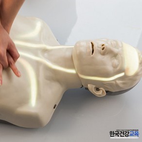 심폐소생술마네킹-혈행이표시되는 CPR 애니모형(IM-13K)ㅣ브레이든마네킨, 1세트