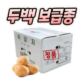 농사친구 강원도 두백 씨감자 4kg 10kg 20kg, 1개