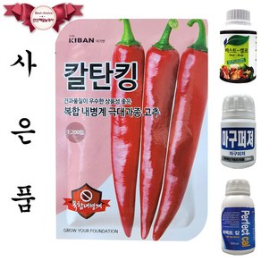 칼탄킹 1200립 더기반 25년 고추씨앗 고추종자, 1개