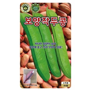 보양 작두콩씨 10립 콩씨 작두콩 씨앗 대장 KS종묘, 1개