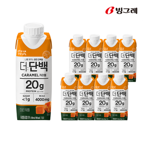 빙그레 더단백 드링크 프로틴음료 250ml, 카라멜, 9개