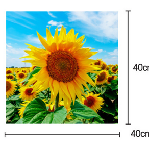 빛나는풍수 해바라기 액자 그림 40*40 재물운상승하는풍수액자, 1개