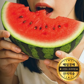 [맛보장] 초 고당도 수박 13bix 정품 경매, 1개, 7~8kg
