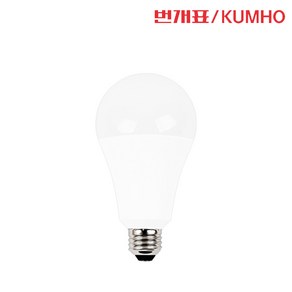 번개표 LED 전구 20W E26 주광색 전구색 LED벌브, 1개