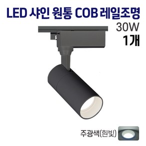 라인라이팅 LED 샤인 원통 COB 스포트 레일등 블랙 30W, 1개, 주광(흰빛)