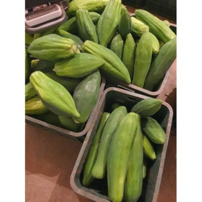 Green Papaya Somtam 국내산 생 그린 파파야 대용량 특품 5kg 10kg