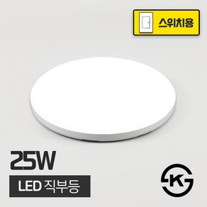 LED 직부등 25W