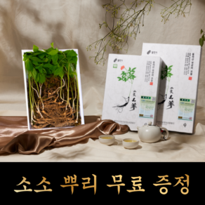 산양산삼 산양삼 산삼 7년근 제일, 대7뿌리+중7뿌리+소7뿌리+소소7뿌리, 1세트