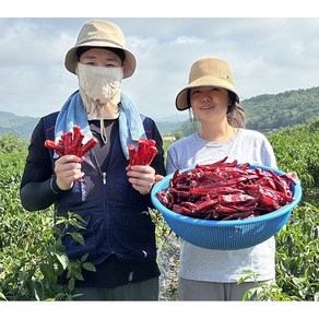 시골냉장고 국산 청송 햇 고춧가루 1kg 보통맛 김장용