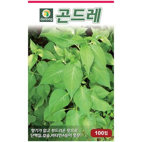 다농 잔대 1g - 씨 씨앗 잔대씨앗 잔대씨 딱주 사삼 나물씨앗 민속채소 채소씨 채소씨앗 딱주씨앗 딱주씨, 1개