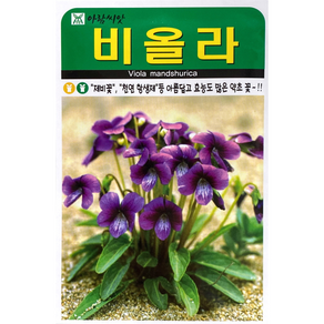 비올라 꽃씨앗 제보꽃 1000립, 1개