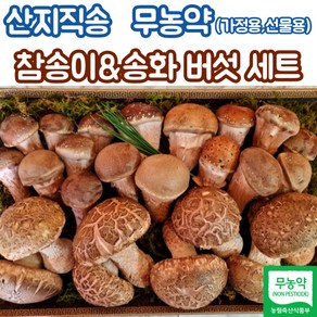 산지직송 국내산 무농약 참송이버섯 송화버섯 600g 1kg