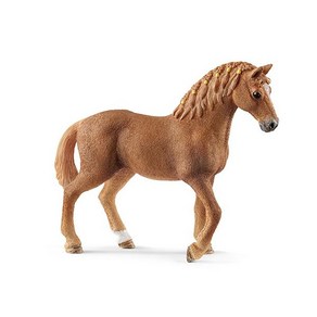 Schleich 슐라이히 13852 [Hose Club 쿼터 말 암컷], 단일, 1개