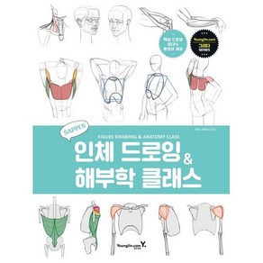 새삐의 인체 드로잉 & 해부학 클래스, 영진닷컴, 새삐(이서은)