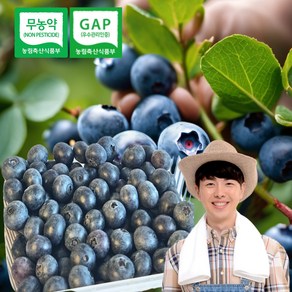 국내산 최상급 친환경 무농약 블루베리 급냉 특품 냉동 국산 불루베리 blueberry