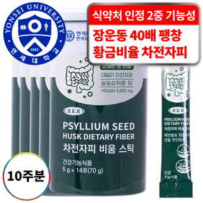 RKR 진짜 맛있는 식이섬유 6800mg 차전자피 비움 스틱, 14회분, 5개