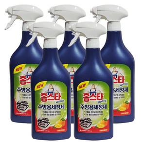 홈스타 주방을 부탁해 세정 스프레이, 750ml, 5개