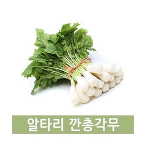 두리반농산 깐총각무(특) 2kg좌우, 1개