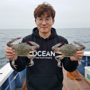 삼시세끼연구소 오직 연평도 2025년 봄꽃게 활 암꽃게 알배기 생물 활 꽃게, 1세트, 2kg