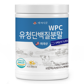 백세식품 WPC 유청단백질 분말 500g통, 500g, 1개