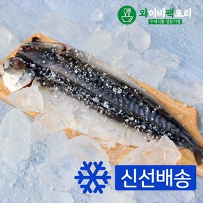 손질한 반건조생선모음 고등어 갈치 가자미 병어, 노르웨이고등어1미(250g), 1개