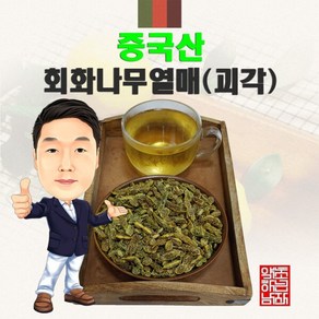 중국산 회화나무열매(괴각) 100g (경북 영천) 수입산 수입, 1개