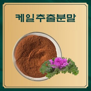 엔트코 케일추출분말 1kg, 1개, 단품