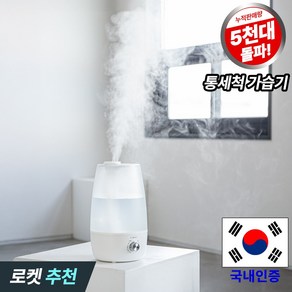 리웨이 통세척 대용량 가습기 4L, LWS-9940DP