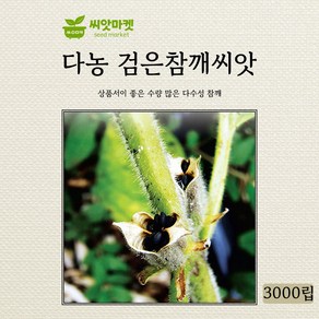 다농 검은참깨씨앗 3000립, 1개