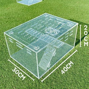 필아크릴 파충류 케이지 사육장 투명 도마뱀 상자 박스 용품 먹이구 포함, 1개