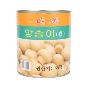 대화 양송이 홀 2.8kg, 1개