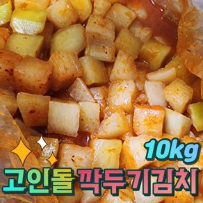 고인돌 국내산 짠지네깍두기 10kg