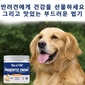 DIDAHOME 강아지 유산균 강아지 프로바이오틱스 소화기능 개선 변비설사 강아지 장 건강 영양제 반려동물 강아지, 1개, 300g, 장건강/유산균