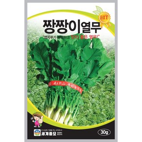 짱짱이열무 30g 세계종묘 열무씨앗, 1개