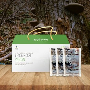 산약초이야기 자연산 말굽버섯즙 진액 엑기스 120ml 60포, 60개