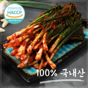 [30년전통]특급비법 100%국산 전라도 명품 파김치, 1kg, 1개