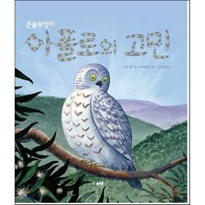 큰솔부엉이 아폴로의 고민, 고든 윈치 글/스티븐 핌 그림/김경연 역, 도미솔