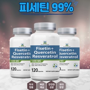 헬시파트너 피세틴+퀘르세틴 레스베라트롤 1200mg 120캡슐 3통, 3개, 120정