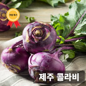 금메달농수산 농장직송 제주도 최상급 콜라비 로얄과, 1개, 10kg