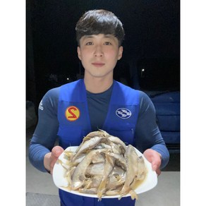 밴댕이젓갈 3.5kg 5.5kg, 1개