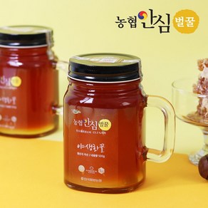 [농협안심벌꿀] 야생화 꿀 500g x 4병, 4개