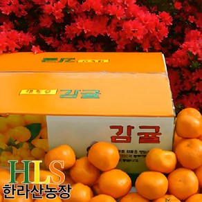 한라산농장 고당도 감귤 5kg 중대과 L~2L, 1박스, 05.귤 5kg 중대과 L-2L